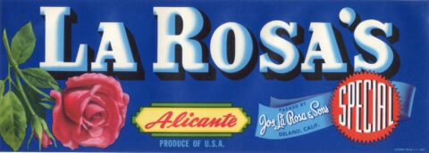 La Rosa s